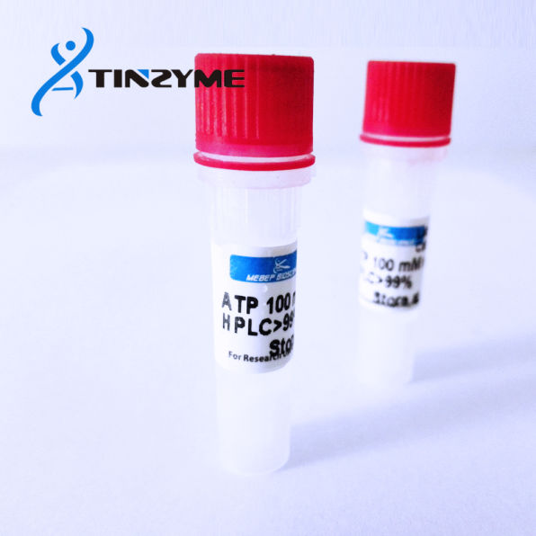 ATP 100mM solution