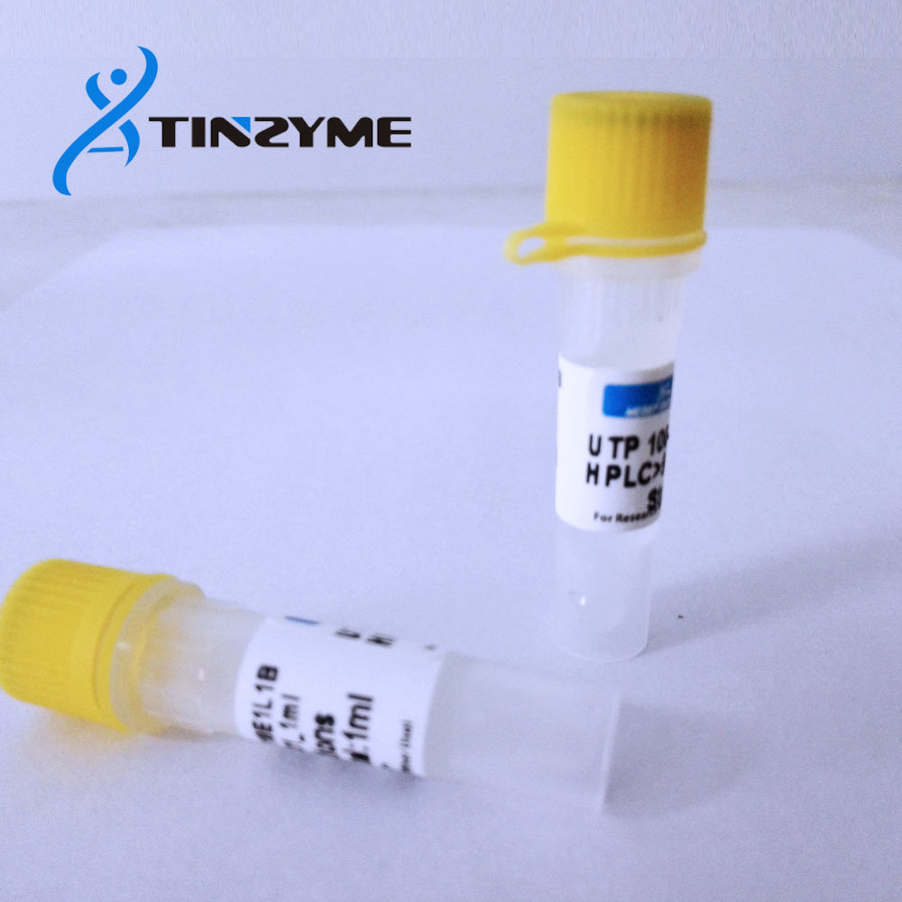 UTP 100mM solution